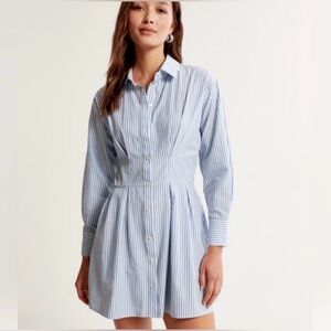 Abercrombie Blue & White Striped Button Down Dress